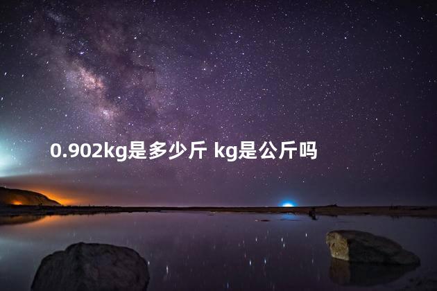 0.902kg是多少斤 kg是公斤吗